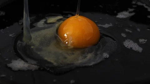 Fried-egg-drop-1b Stock Footage 101582413