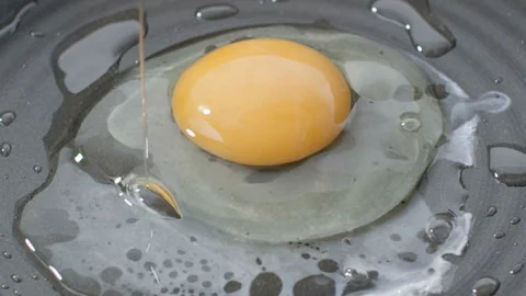 Fried Egg Stock-Footage 327407365