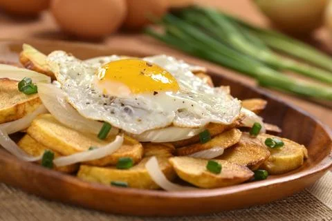 Fried egg on fried potatoes Stock Photos