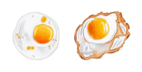 Fried Egg Illustration, Egg Illustration Drawing, Fried Egg, Sunny Side Egg Stock Illustration