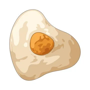 Fried egg illustration Stock Illustration