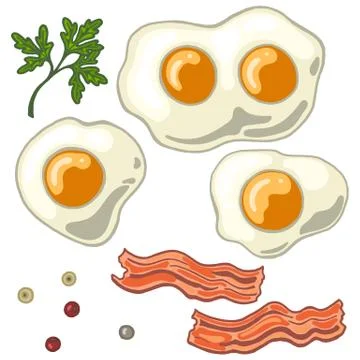 Fried egg isolated on white background with fried bacon, papper and cilantro, ve イラスト素材