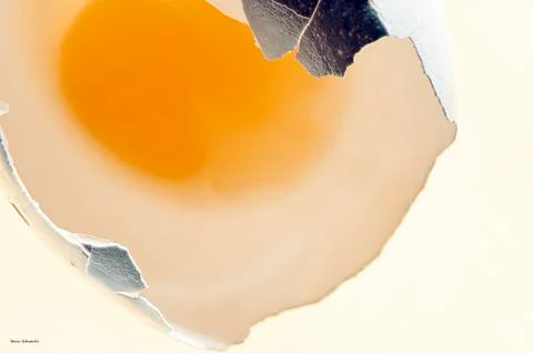 Fried egg isolated on white background Foto stock