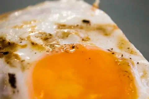 Fried egg in macro Stock Photos