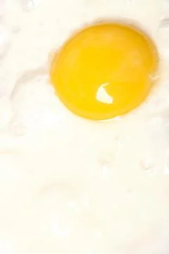 Fried egg with one yolk in pan Stock Photos