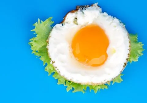 Fried Egg Stock Photos