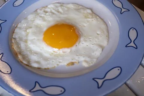Fried egg Stock Photos
