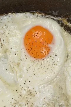 Fried egg Stock Photos