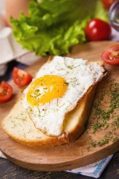 Fried egg in studio Stock Photos