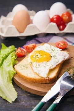 Fried egg in studio Stock Photos