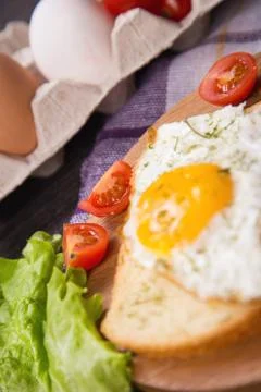 Fried egg in studio Stock Photos