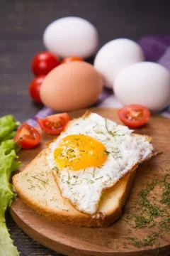 Fried egg in studio Stock Photos