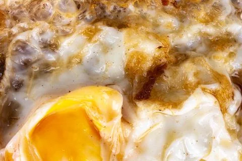 Fried egg texture background closeup Photos