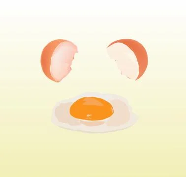 Fried egg vector Stock Illustration
