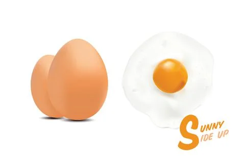 Fried eggs (flipped) with raw eggs picture, in  over easy basic style level o Illustrazione stock