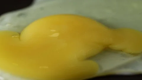 Fried eggs Stock Footage 101442803