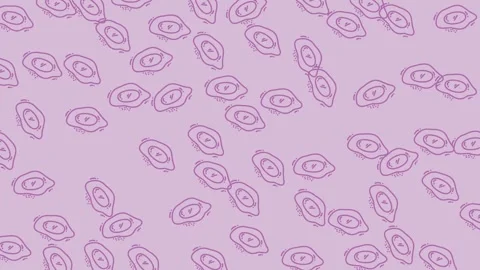 Fried eggs, line, seamless pattern, cartoon, doodl Stock Footage 320399063