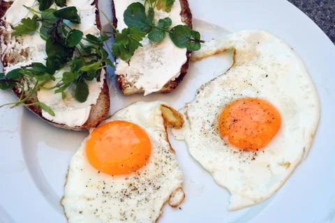 Fried eggs made of two eggs and sandwiches with microgreens butter Stock Photos