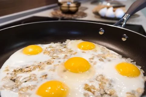 Fried eggs. Stock Photos