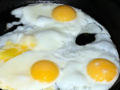 Fried eggs Фото