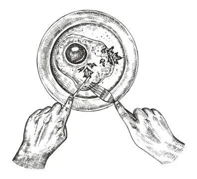 Fried eggs in a plate vector. Hand holding fork and knife Stock Illustration
