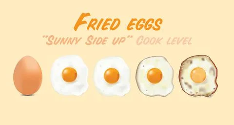 Fried eggs with raw egg picture, in basic style level of doneness set, vector Illustrazione stock
