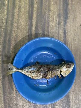 Fried fish on the blue plate on the table Stock Photos