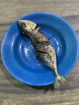 Fried fish on the blue plate on the table Stock Photos