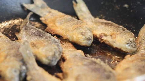 Fried fish Stock-Footage 8553697