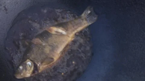 Fried fish Stock Footage 200364228