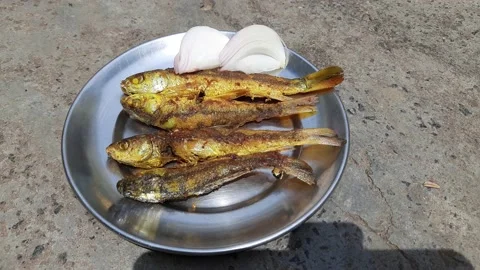 Fried fish. Stock Footage 239990824