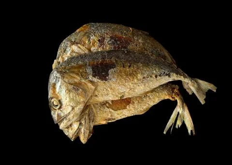 Fried fish isolated on white background Stock Photos