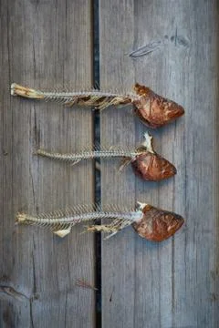 Fried fish leftovers Stock Photos