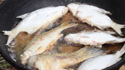 Fried fish on a pan bonfire Stock Footage 85219404