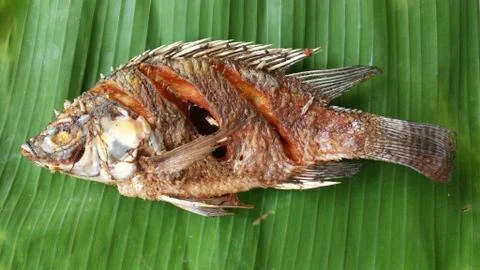 Fried fish Foto stock