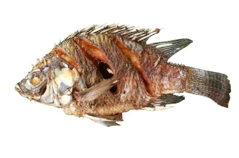 Fried fish Foto stock