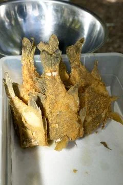 Fried fish in plastic container Stock-Fotos