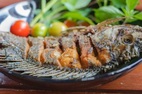Fried fish in plate Stock-Fotos