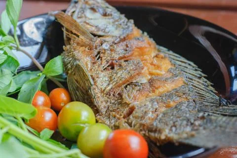Fried fish in plate Stock Photos