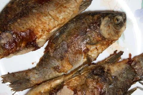 Fried fish on plate Stock Photos
