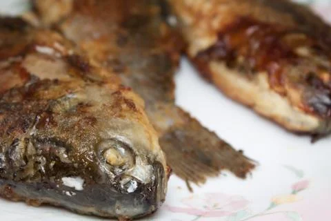 Fried fish on plate Stock Photos