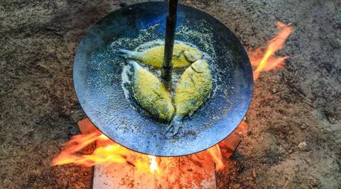 Fried fish prepared on metallic disk as grilling food. Camping food prepared  Stock Photos