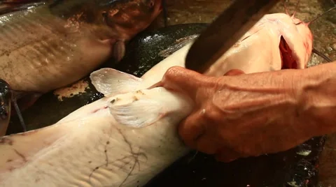 Fried fish processing Stock Footage 54679929