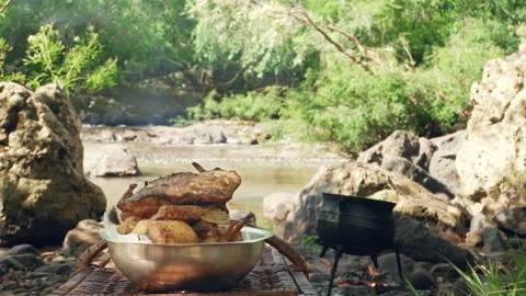 Fried Fish with River on Background Stock Footage 132086485