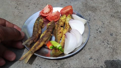 Fried fish with vegetable. 库存影片 239991025
