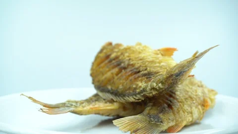 Fried fish in white background. Osteochilus vittatus. Stock Footage 124005114