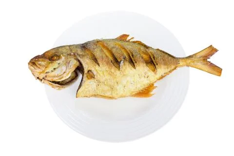 Fried fish on white background. Stock Photos