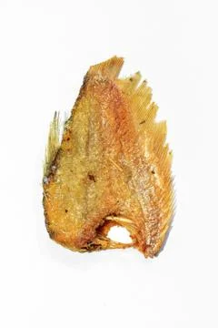Fried fish on white background Stock Photos