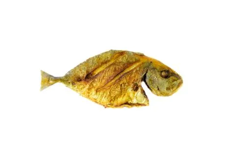 Fried fish on white background with selective focus 库存照片