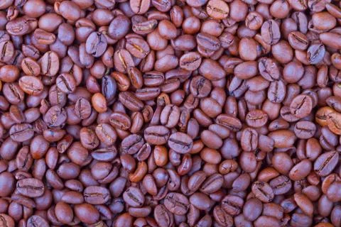 Fried grain coffee Stock Photos
